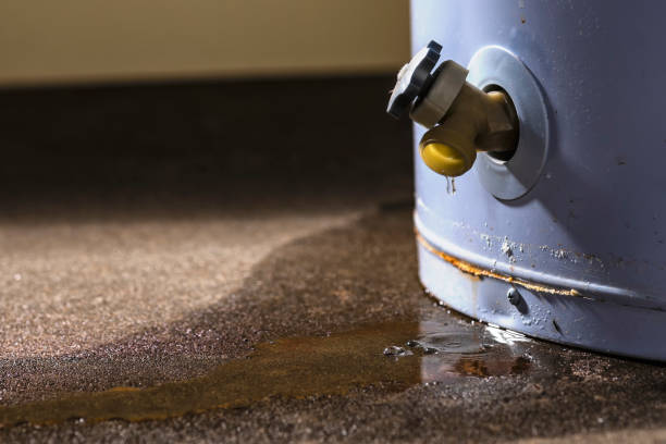 Best Fire Damage Restoration  in St Helen, MI