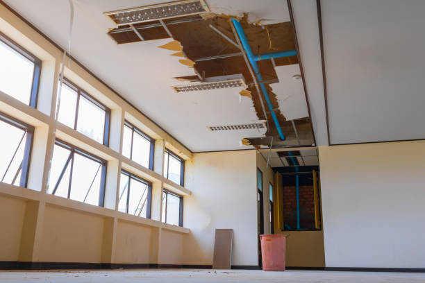 Best 24/7 water damage repair  in St Helen, MI
