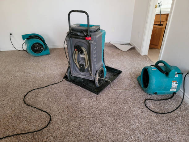Best Professional water damage repair  in St Helen, MI