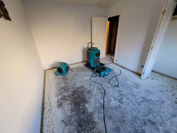 Best Water damage contractors near me  in St Helen, MI