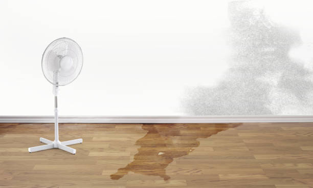 Best 24-hour water damage restoration  in St Helen, MI