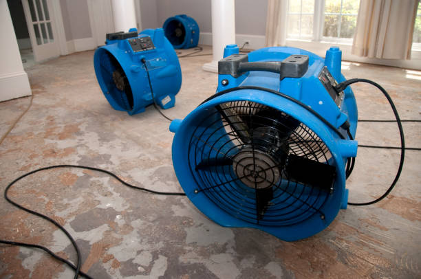 Best Basement water damage restoration  in St Helen, MI
