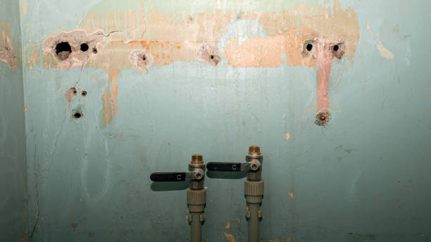 Best Emergency water damage restoration  in St Helen, MI